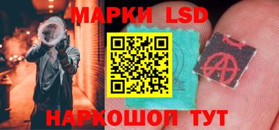 прущие крисы Камышлов