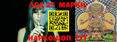 прущие крисы Камышлов