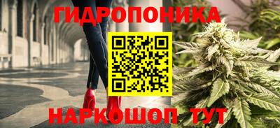 СК Канаш