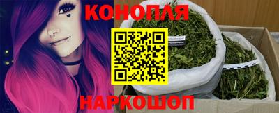 прущие крисы Камышлов