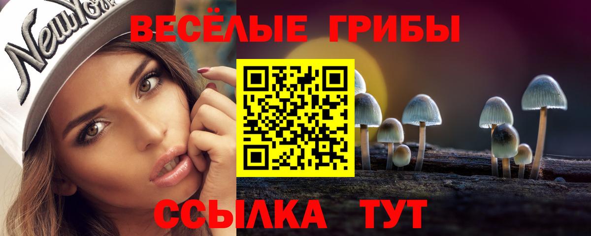 Лосино-Петровский  Псилоцибиновые грибы GOLDEN TEACHER  Псилоцибиновые грибы MAGIC MUSHROOMS  Вход с VPN 